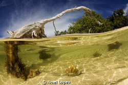 playa caballones,canon 5D mark III, tokina lens 10-17mm a... by Noel Lopez 